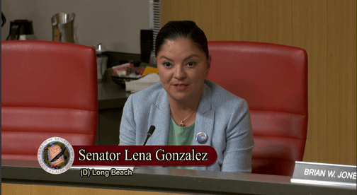 Senator Lena Gonzalez addresses water quality issues in Southeast Los Angeles during Senate Rules Committee