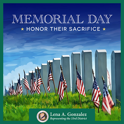 Memorial day graphic