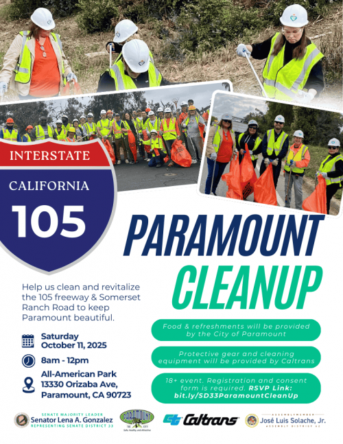 Paramount Cleanup Flyer